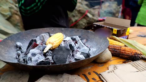 Corn-roasting-in-the-road-near-Pahagaon,-Jammu-and-Kashmir,-India