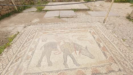 An-ancient-engravings-of-the-greeks-in-the-old-city-of-Volubilis-in-Morocco
