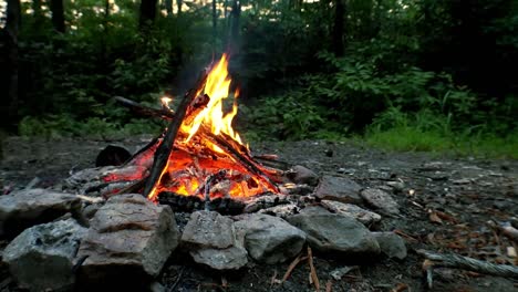 A-campfire-in-Red-River-Gorge