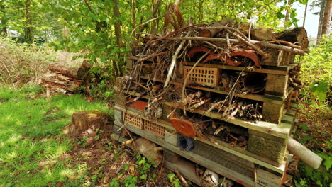 Camera-moving-in-towards-a-wildlife-bug-hotel-in-the-woods