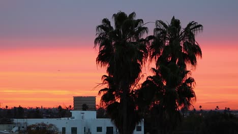 Beautiful,-colorful-twilight-hour-sky-behind-palm-trees-with-planes-flying-by