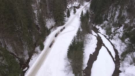 Aerial-shot-of-tree-horse-teams-pulling-sleigh-in-a-narrow-mountain-valley-during-late-winter