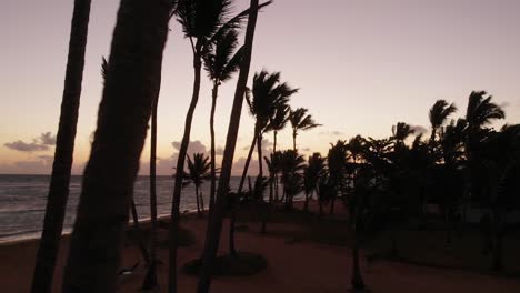 Mann-Geht-Am-Strand-Von-Punta-Cana-Bei-Sonnenaufgang-Durch-Die-Bäume