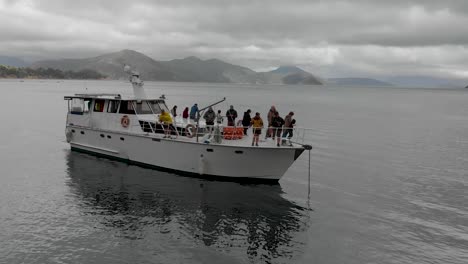 Group-of-people-on-anchored-cruise-boat-in-bay-in-Marlborough-Sounds,-New-Zealand