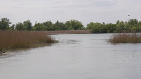 Naturschutzgebiet-Donaudelta