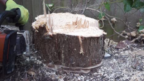 Tree-surgeon-working-with-chainsaw-for-a-tree-stump-removal