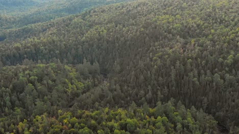 Aerial-footage-DOLLY-ZOOM-revealing-the-forested-hills-behind-a-winding-river