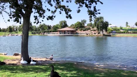 Bakersfield-River-Walk-Park-En-Un-Día-Soleado-De-Verano