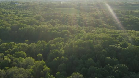 Aerial-of-a-thick-forest-during-dusk-in-the-hills-of-Wisconsin,-USA-during-this-warm-and-bright-summer-day