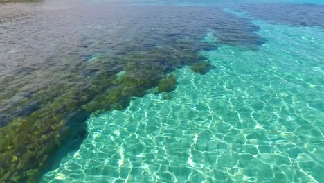 Low-drone-shot-skimming-over-the-surface-of-turquoise-clear-tropical-waters-then-revealing-a-mossy-reef-as-we-approach-shore