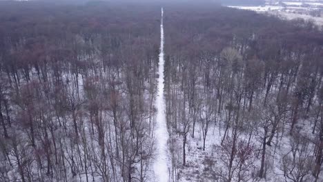 Aerial-view-of-a-trail-in-the-forest,-winter,-Poland