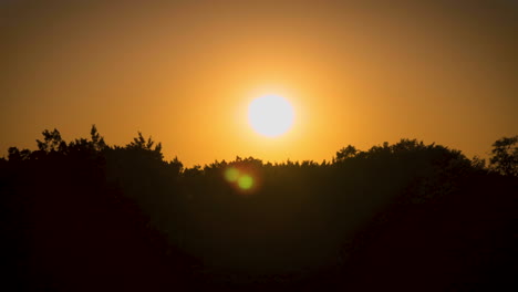 Zeitraffer-Eines-Sonnenuntergangs-Hinter-Einer-Silhouettierten-Baumgrenze