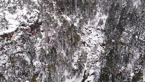 Aerial-flyover,-top-down-footage-of-snow-covered-frozen-river-gorge-in-forested-mountain-wilderness