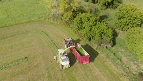 4K-aerial-view-following-from-behind-of-a-harvester-harvesting-hay-into-a-wagon