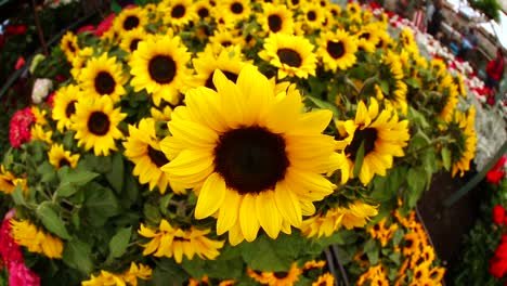 bunch-of-sunflowers-market-fisheye-view