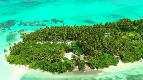 Palm-trees-forest-and-lush-vegetation-of-idyllic-tropical-island-surrounded-by-beautiful-turquoise-lagoon-with-coral-reefs-and-white-sandy-sea-bottom-in-Philippines