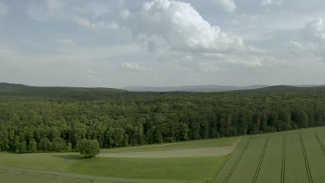 Beautiful-green-german-farmland-with-trees-in-the-Background,-captured-by-a-Drone
