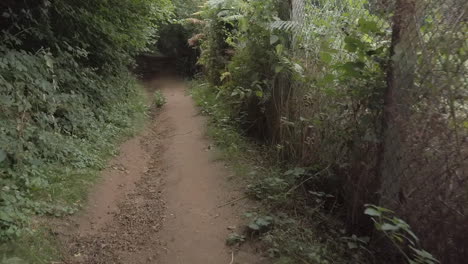 Hyper-lapse-waling-along-a-footpath-in-a-forest-in-England-on-a-summers-day