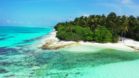 Üppige-Vegetation-Und-Palmen-Einer-Tropischen-Insel,-Umgeben-Von-Felsiger-Küste-Und-Türkisfarbenem-Wasser-Der-Flachen-Lagune-In-Jamaika