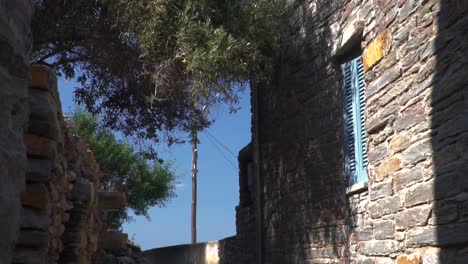 Tilt-down-over-old-brick-houses-and-olive-tree-in-mediterranean-alley