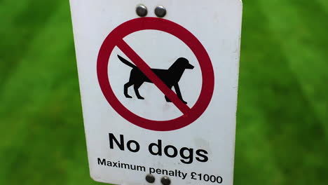 Sign-prohibiting-dogs-in-park