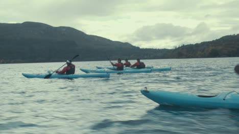 Group-of-kayakers-on-open-lake-paddling
