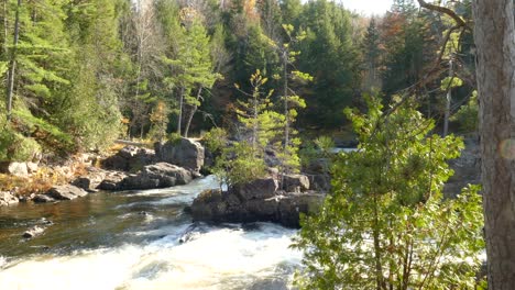 Wunderschöne-Landschaft-Eines-Flusses,-Der-In-Einem-Herbstwald-In-Kanada-Eine-Kurve-Macht