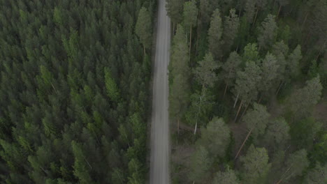 Drohnenansicht-Von-Oben-Nach-Unten-Auf-Eine-Leere-Straße-Im-Wald