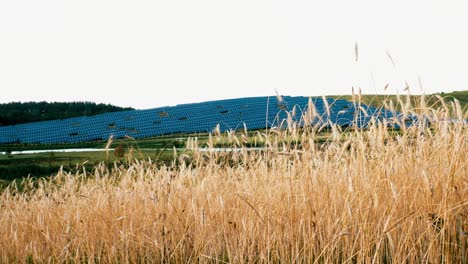 Static-shot-of-solar-panel-farm-situated-on-hill-side-while-sun-rays-appears-and-disappears