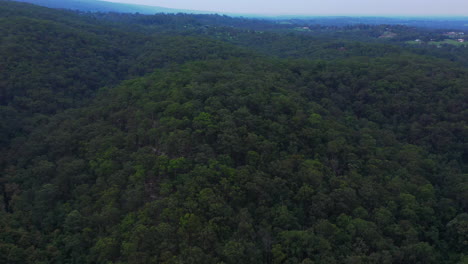 Luftaufnahme-Einer-Epischen-Szene-Des-Ländlichen-Sydney,-Australien,-Häuser-Und-Grüner-Baum-Dichter-Hügeliger-Wald-An-Einem-Klaren-Tag