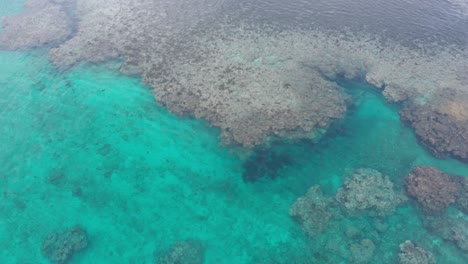 Coral-reef-in-Natadola-Bay-of-Fiji-with-crystal-clear-water,-calm-blue-lagoon