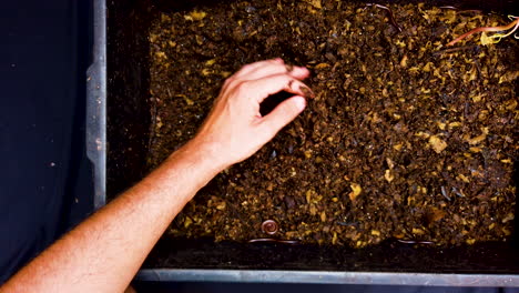 Compost-with-composted-earth,-sustainability,-global-warming