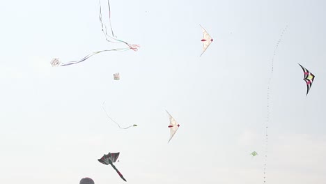 Colorful-kite-flying-on-the-sky,-paper-art-style