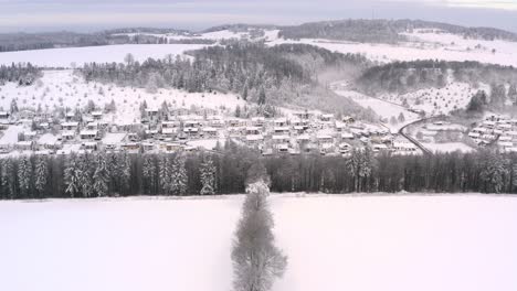 Winter-fairytail---flight-with-a-drone-over-a-row-of-trees-to-discover-a-snow-covered-part-of-a-city-with-driving-cars-through-the-white-landscape