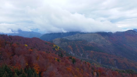Aerial-view-of-mountains-and-colorful-trees