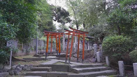 Multiple-red-Torii-gates-on-top-of-steps-at-Nezu-Shrine-in-Tokyo-with-tourists-walking-under-them