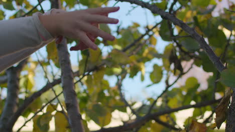 Slow-motion-close-up-of-a-child's-hands-as-she-drops-a-bunch-of-leaves-while-hiding-in-a-tree