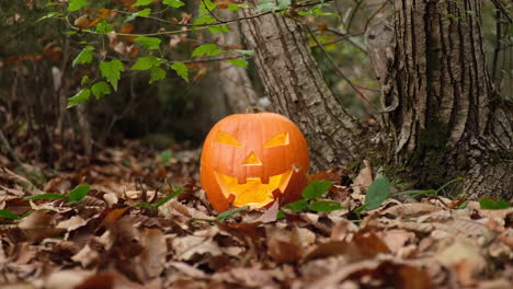 Halloween-scary-pumpkin-glowing-in-the-autumn-forest