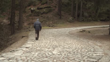 elderly-man-travels-a-stone-road-in-the-middle-of-a-forest-in-the-Italian-Alps-4k-slow-motion