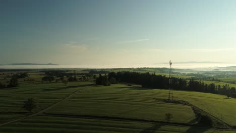 Landschaft-Einer-Immergrünen-Landschaft-Unter-Blauem-Himmel-Bei-Sonnenschein-Am-Morgen