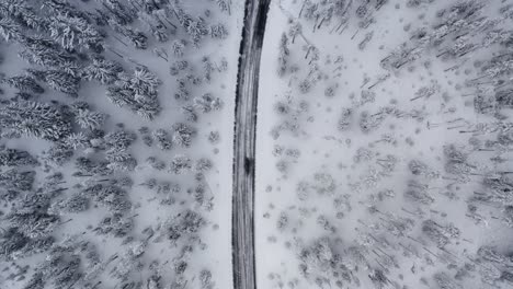 Aerial-looking-down-following-a-snowy-road-through-a-snow-covered-forest