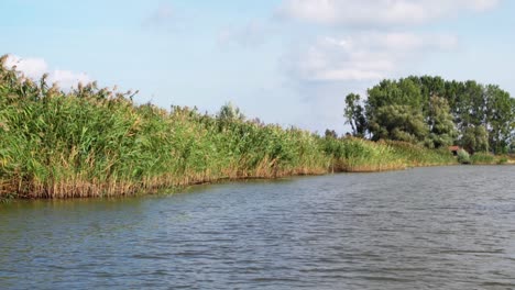 Rippling-Waters-Of-Danube-Delta-Surrounded-By-The-Common-Reeds-In-Tulcea,-Romania,-Europe---Boat-Tour---wide-shot