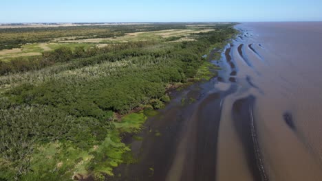 Aerial-upward-tilt-of-sandbanks-and-woodlands-by-Rio-de-la-Plata-coast