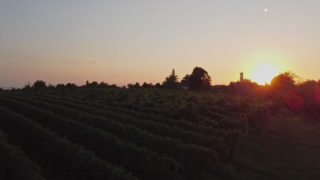 Drohne-Hebt-Bei-Sonnenuntergang-über-Einem-Weinberg-In-Italien-Ab,-Mit-Einer-Kleinen-Kirche-Im-Hintergrund,-50-Fps