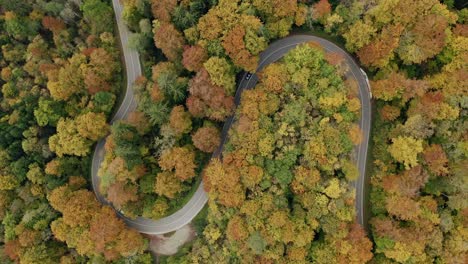 Double,-s-curve-timelapse-of-fast-driving-cars,-dynamic-stabilzed-top-shot-by-a-drone-with-the-view-over-a-wonderful-colorful-forest-in-the-autumn-time