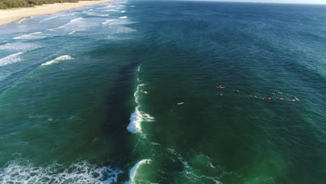 Aerial-view-of-a-group-of-Nippers-paddling-out-and-turning-around-during-a-morning-training-session-at-Mermaid-Beach-Gold-Coast-Australia