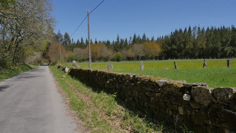 road-in-the-middle-of-nature-with-a-stone-fence-with-barb-wire-in-a-green-grass-field,-grassy-meadow