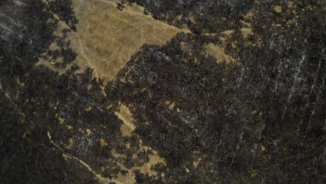 Blick-In-Großer-Höhe-Auf-Ein-Land-Im-Brasilianischen-Pantanal,-Das-Durch-Abholzungsbrände-Verkohlt-Und-Vernarbt-Ist