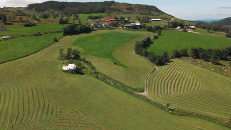 Luftaufnahme-Eines-Ackerschleppers,-Der-Silage-Aus-Grünem-Gras-Auf-Dem-Feld-Produziert,-Mit-Bauernhäusern-Im-Hintergrund