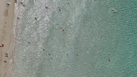 People-enjoy-sunny-day-on-sandy-coastline-and-blue-seawater,-top-down-aerial-view